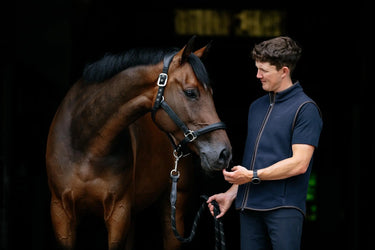 LeMieux Mens Fleece Gilet Navy| Online For Equine