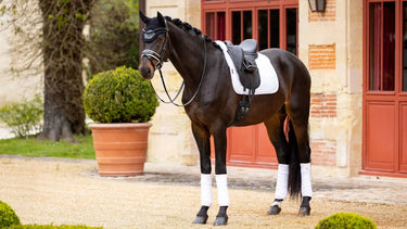 LeMieux Merino+ Half Lined Suede Dressage Square White/White| Online For Equine