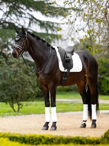 LeMieux Merino+ Half Lined Suede Dressage Square White/White| Online For Equine