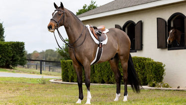 LeMieux Merino+ Hunter Saddle Pad White/White| Online For Equine