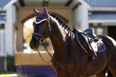 LeMieux Merino+ Loire Classic Close Contact Square Juniper| Online For Equine