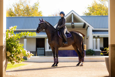 LeMieux Merino+ Loire Classic Close Contact Square Juniper| Online For Equine