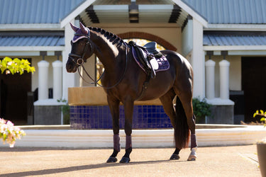 LeMieux Merino+ Loire Classic Close Contact Square Juniper| Online For Equine