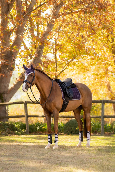 LeMieux Merino+ Loire Classic Dressage Square Juniper| Online For Equine