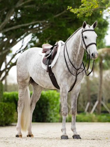 LeMieux Merino+ ProSorb Hunter Saddle Pad White/White| Online For Equine