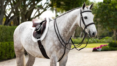 LeMieux Merino+ ProSorb Hunter Saddle Pad White/White| Online For Equine