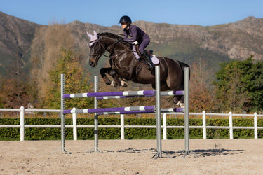 LeMieux Merino+ Suede Close Contact Square Lilac| Online For Equine