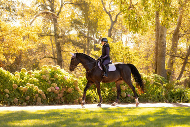 LeMieux Merino+ Suede Close Contact Square Lilac| Online For Equine