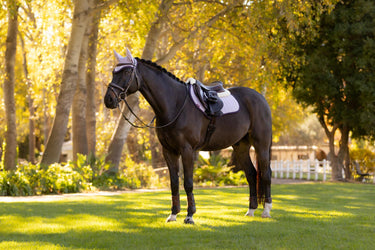 LeMieux Merino+ Suede Close Contact Square Lilac| Online For Equine