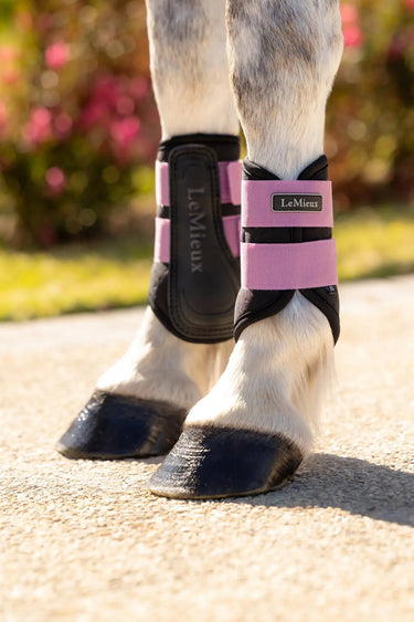 LeMieux Mini Air-Tek Grafter Brushing Boots Mallow| Online For Equine