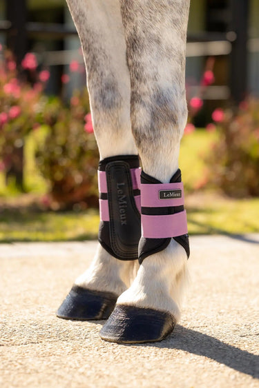 LeMieux Mini Air-Tek Grafter Brushing Boots Mallow| Online For Equine
