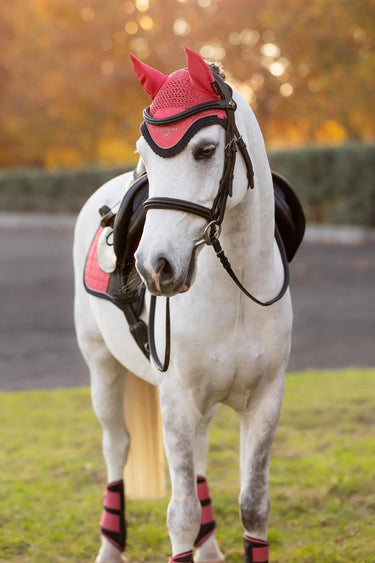LeMieux Mini Classic Fly Hood Cranberry| Online For Equine