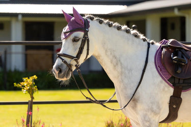 LeMieux Mini Classic Fly Hood Mallow| Online For Equine