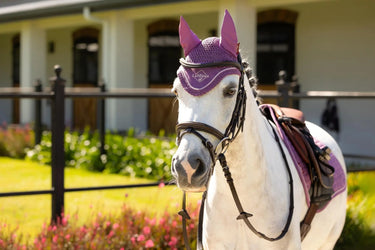LeMieux Mini Classic Fly Hood Mallow| Online For Equine