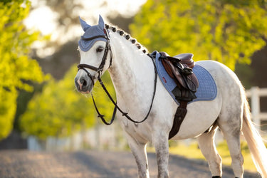 LeMieux Mini Classic Fly Hood Powder Blue| Online For Equine