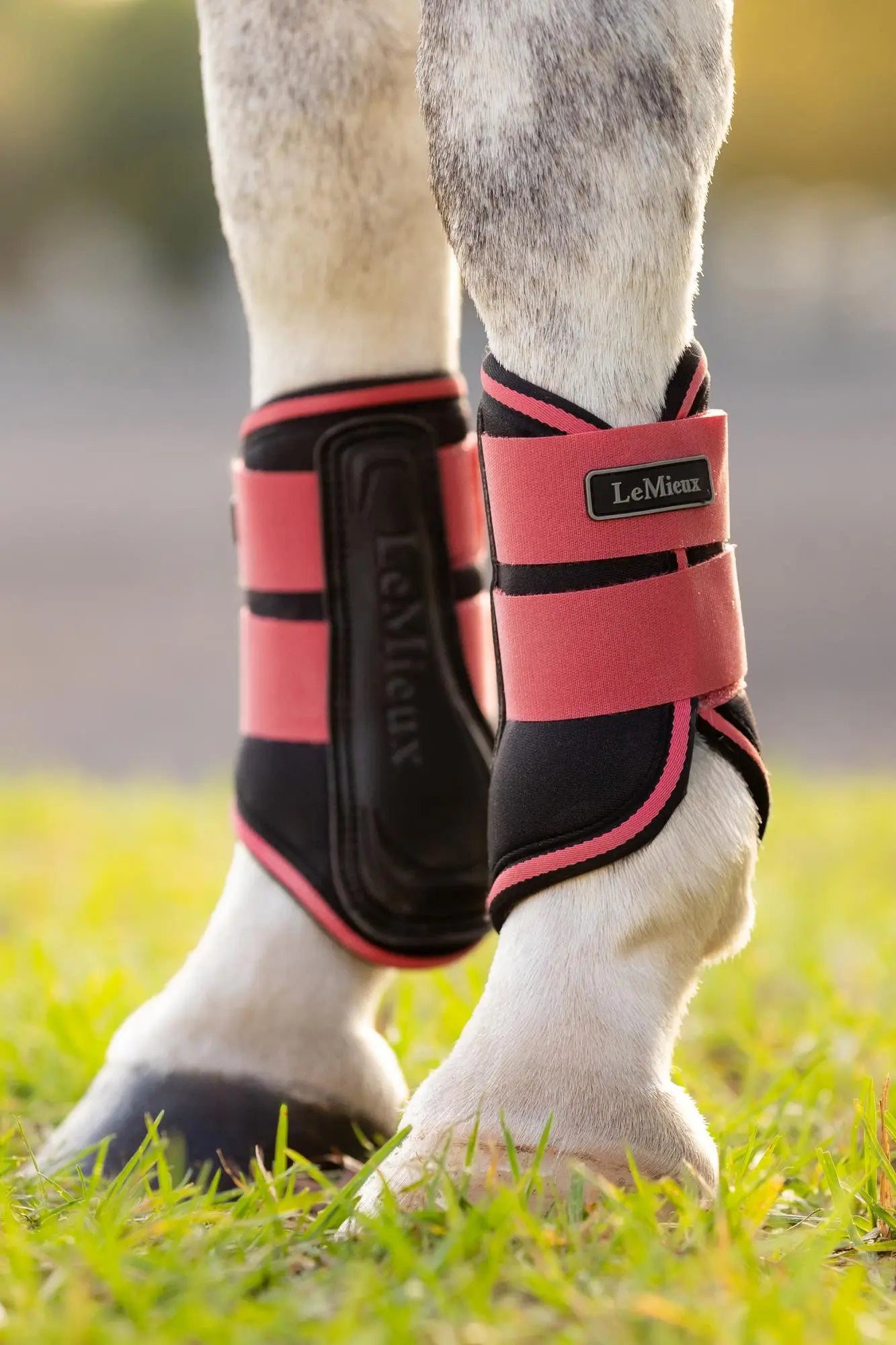 Buy LeMieux Mini Grafter Brushing Boots Cranberry | Online for Equine ...
