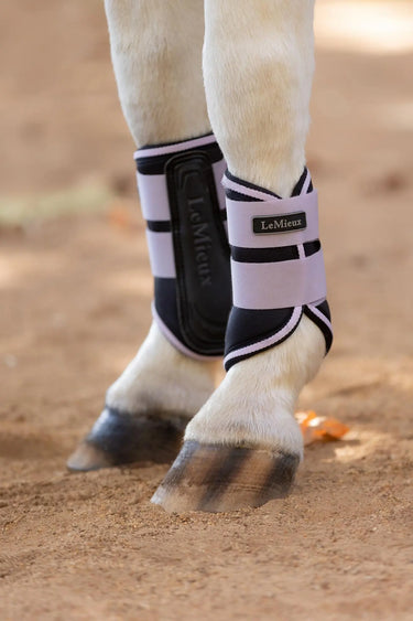 LeMieux Mini Grafter Brushing Boots Lilac| Online For Equine