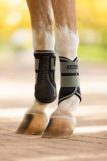 LeMieux Mini Grafter Brushing Boots Rosemary| Online For Equine