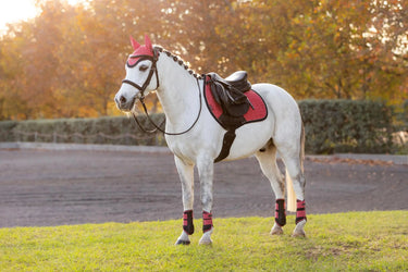 LeMieux Mini Suede Close Contact Square Cranberry| Online For Equine