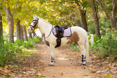 LeMieux Mini Suede Close Contact Square Lilac| Online For Equine