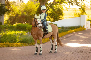 LeMieux Mini Suede Close Contact Square Macaron| Online For Equine