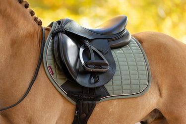 LeMieux Mini Suede Close Contact Square Rosemary| Online For Equine