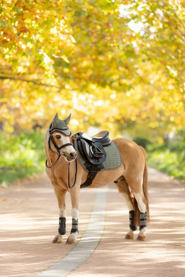 LeMieux Mini Suede Close Contact Square Rosemary| Online For Equine