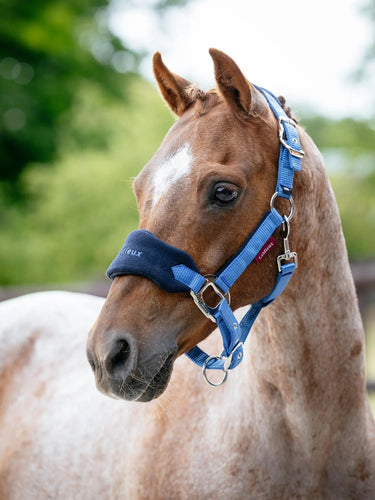 LeMieux Mini Vogue Headcollar & Leadrope Benetton| Online For Equine