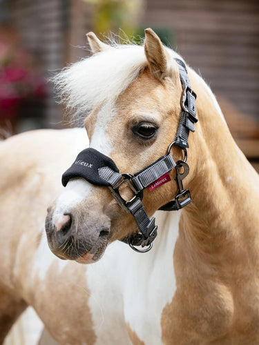 LeMieux Mini Vogue Headcollar & Leadrope Black| Online For Equine