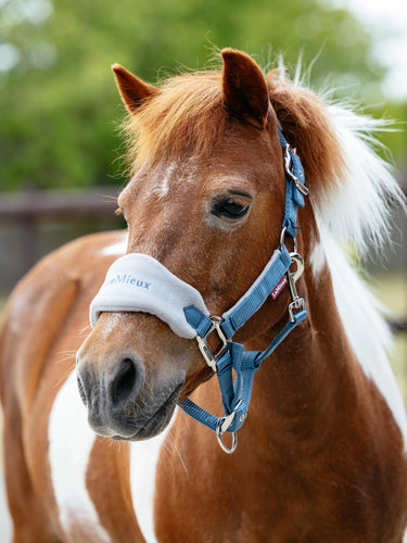 LeMieux Mini Vogue Headcollar & Leadrope Ice Blue| Online For Equine