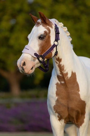 LeMieux Mini Vogue Headcollar & Leadrope Juniper| Online For Equine
