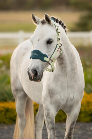 LeMieux Mini Vogue Headcollar & Leadrope Macaron| Online For Equine
