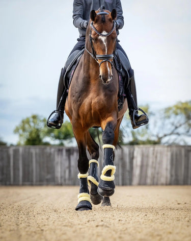 LeMieux Motionflex Dressage Boot with Fleece Edge Black/Natural| Online For Equine
