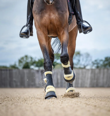 LeMieux Motionflex Dressage Boot with Fleece Edge Black/Natural| Online For Equine