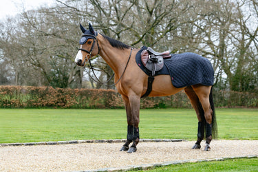 LeMieux Navy Arika Clima-Tek Quarter Sheet Navy| Online For Equine