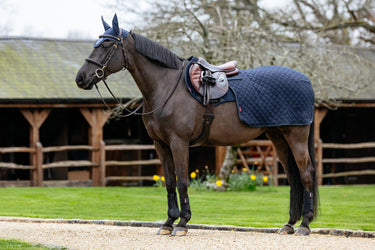 LeMieux Navy Arika Clima-Tek Quarter Sheet Navy| Online For Equine