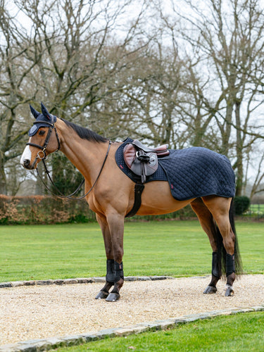 LeMieux Navy Arika Clima-Tek Quarter Sheet Navy| Online For Equine