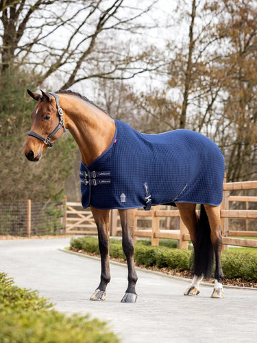 LeMieux Navy Arika Clima-Tek Rug| Online For Equine
