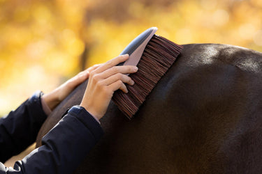 LeMieux Navy Flicky Brush Navy| Online For Equine