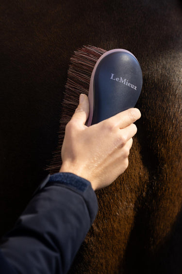 LeMieux Navy Flicky Brush Navy| Online For Equine