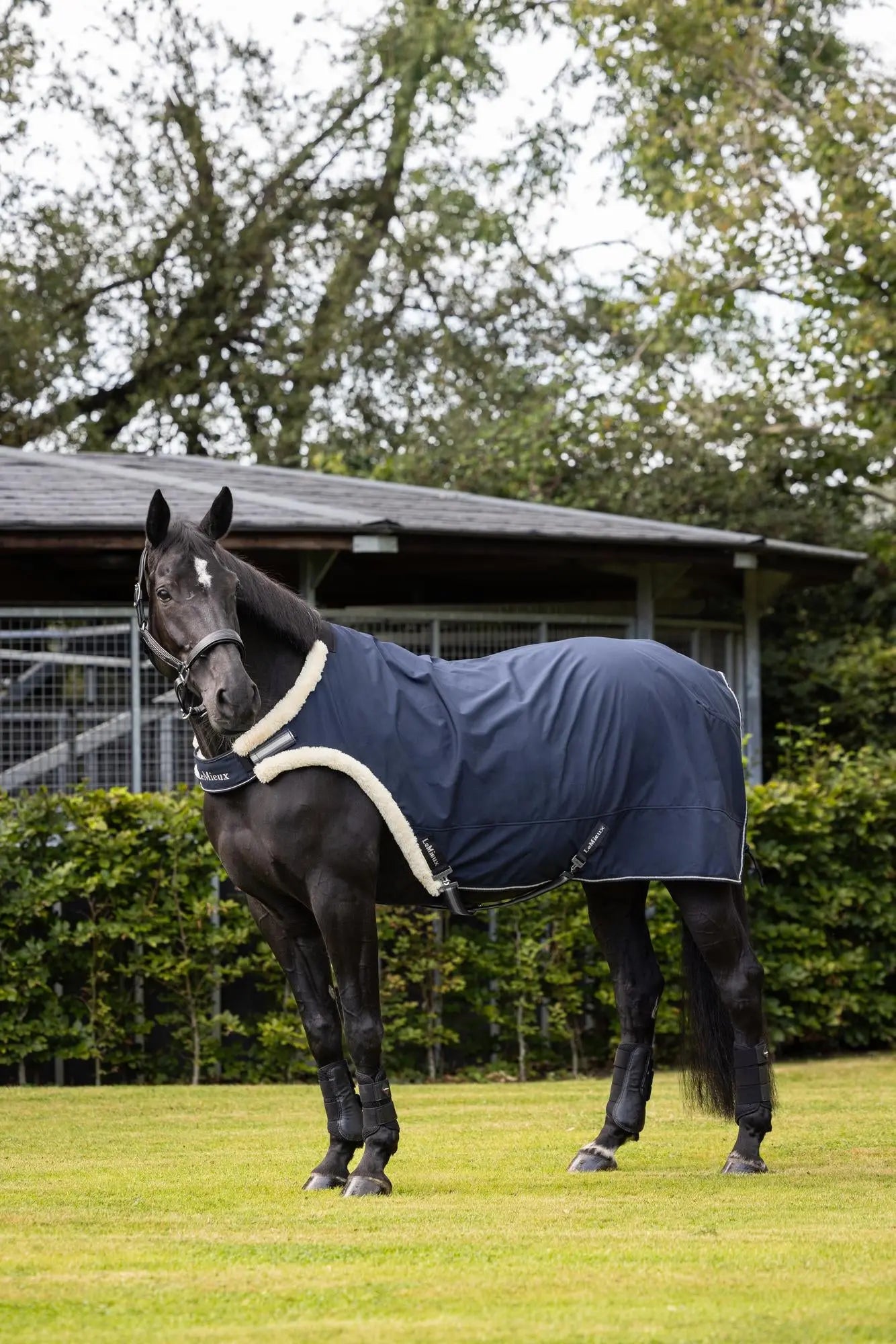 Buy the LeMieux Navy Horse Walker Rug | Online for Equine – Online For ...