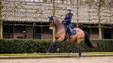 LeMieux Navy Loire Classic Dressage Square| Online For Equine