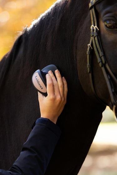 LeMieux Navy Massage Brush Navy| Online For Equine