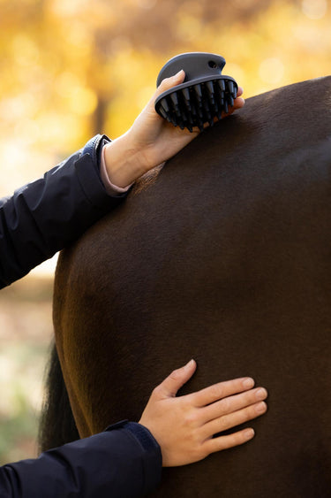 LeMieux Navy Massage Brush Navy| Online For Equine