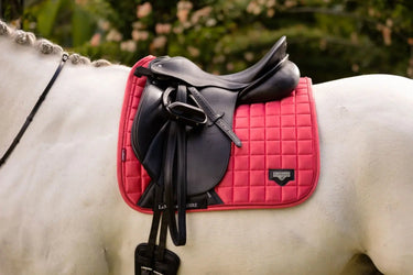 Buy LeMieux Papaya Loire Satin Dressage Square - Small / Medium| Online for Equine