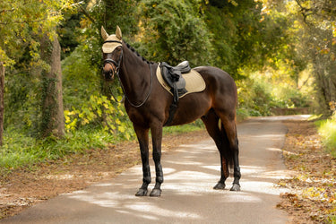 LeMieux Pear Essence Close Contact Square Pear| Online For Equine