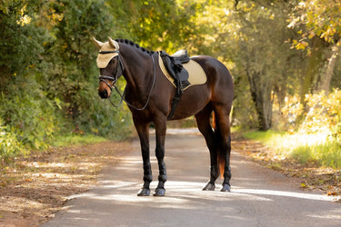 LeMieux Pear Essence Close Contact Square Pear| Online For Equine