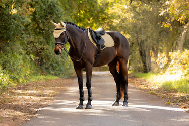 LeMieux Pear Essence Close Contact Square Pear| Online For Equine