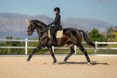 LeMieux Pear Essence Dressage Square Pear| Online For Equine