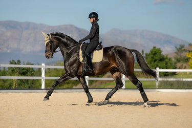 LeMieux Pear Essence Dressage Square Pear| Online For Equine